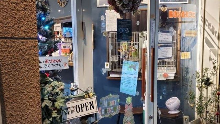 鳥のいるカフェ千駄木店の入り口の様子