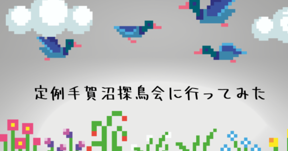 定例手賀沼探鳥会に行ってみた