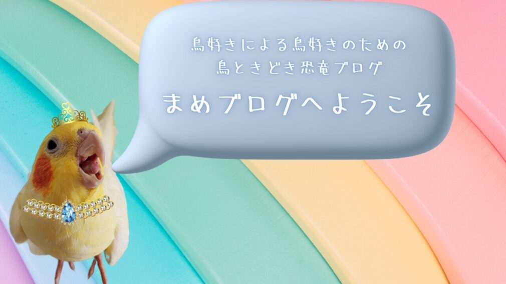 鳥好きによる鳥好きのための鳥ときどき恐竜ブログ。まめブログへようこそ。